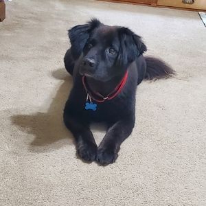 Meet your Posher, Jared